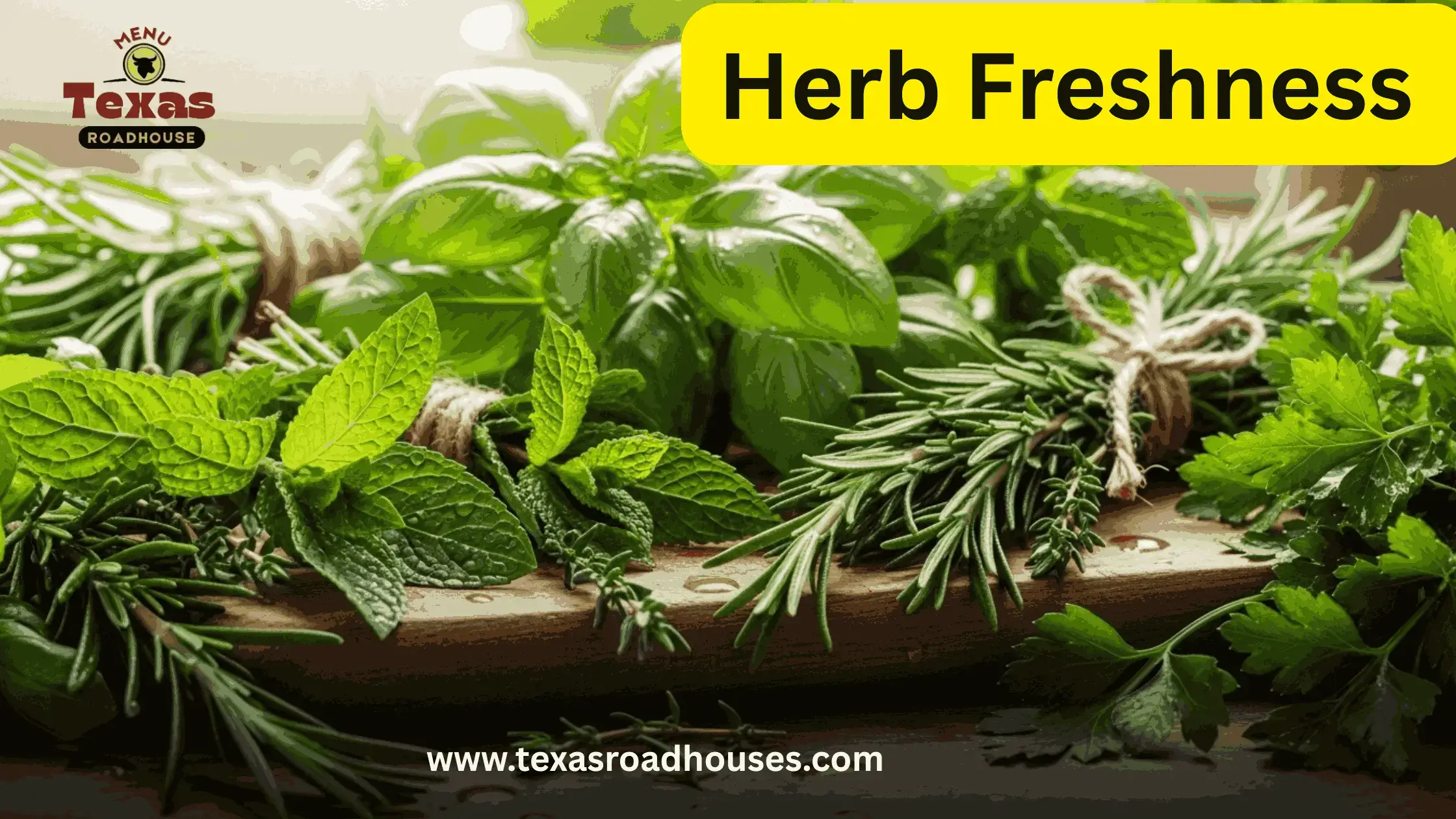 Texas Roadhouse Ranch Recipe